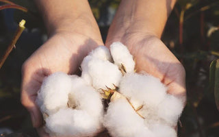 Sustainable Fashion Insights for World Environment Day