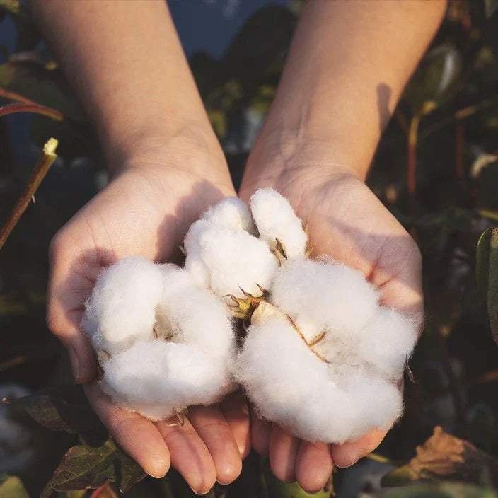 Sustainable Fashion Insights for World Environment Day
