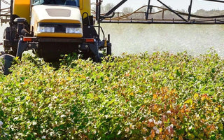 Organic Cotton vs. Conventional Cotton: Environmental, Health & Social Impact