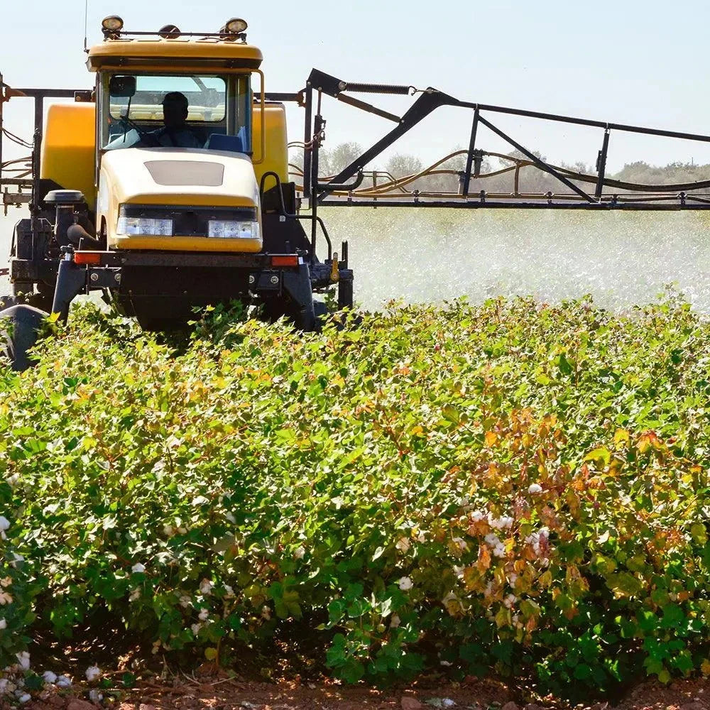 Organic Cotton vs. Conventional Cotton: Environmental, Health & Social Impact