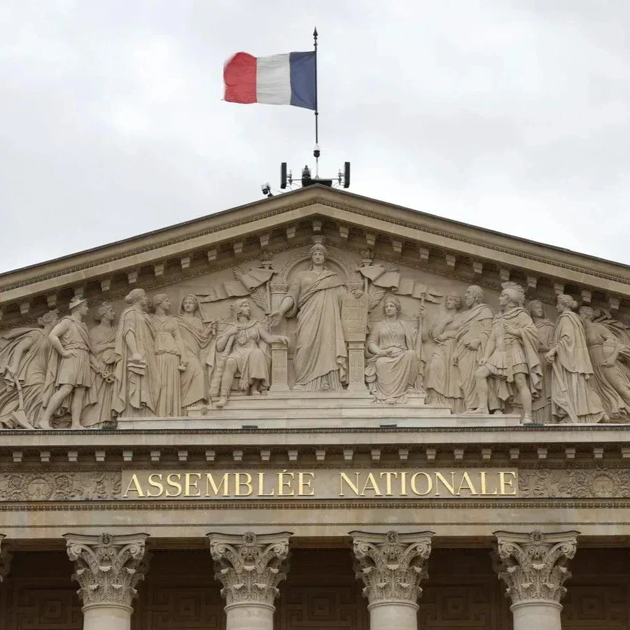 France's new law