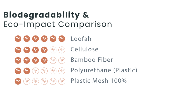 Graficos_Biodegradability.webp__PID:8e4f1c92-19e5-4087-923e-ccbcd3370bde
