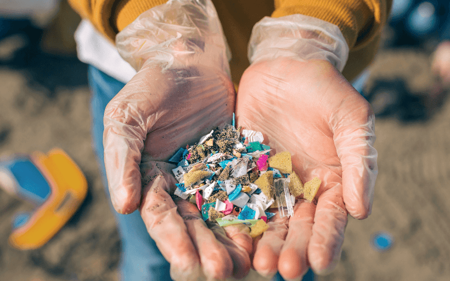 Microplastics in the Human Body: Are They a Threat to Our Health?