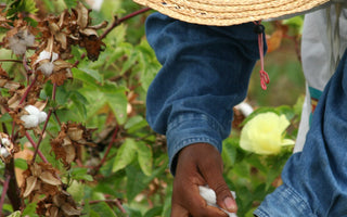 Fair Trade World Day: Why Ethical Fashion Can’t Wait