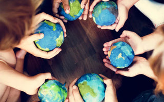 World Environmental Education Day