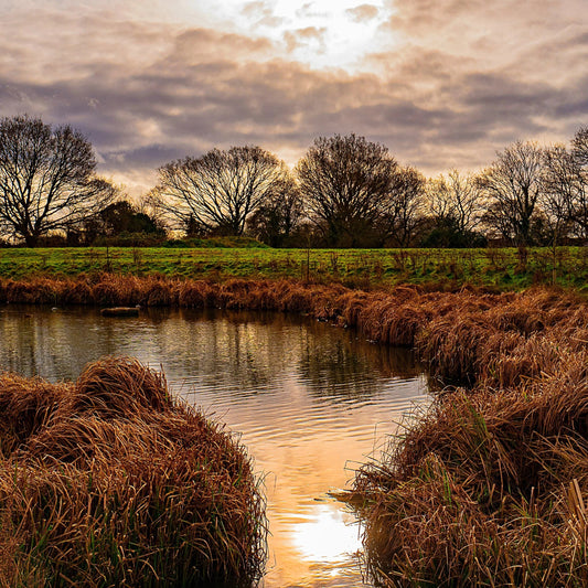 A Call to Protect Earth's Vital Kidneys