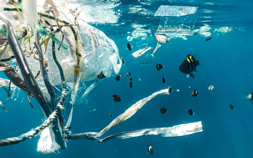 microplastic pollution mostly comes from textile fibers