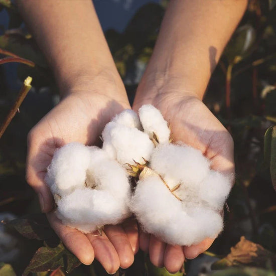 Sustainable Fashion Insights for World Environment Day