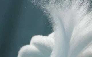 Lyocell: The Sustainable Fiber Revolution – Promises and Challenges