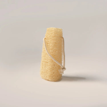 loofah vegetable sponge biodegradable color Chemical-Free