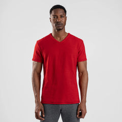 Men's Alpaca Travel T-Shirt V-Neck