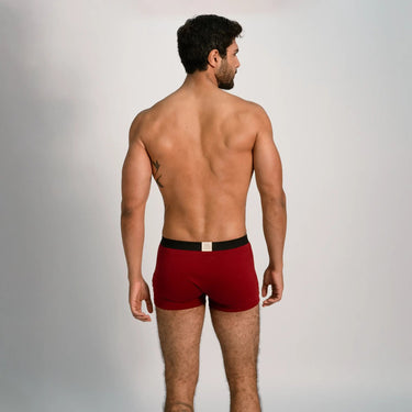 Men's Organic Pima Cotton Boxer Briefs color maroon